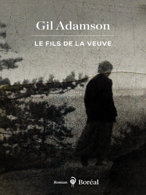 cover image of Le Fils de la veuve